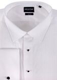 DANIEL HECHTER 5WT FORMAL L/S SHIRT-shirts casual & business-BIGMENSCLOTHING.CO.NZ