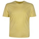 GAZMAN BASIC PLAIN 22001 T-SHIRT -tshirts & tank tops-BIGMENSCLOTHING.CO.NZ