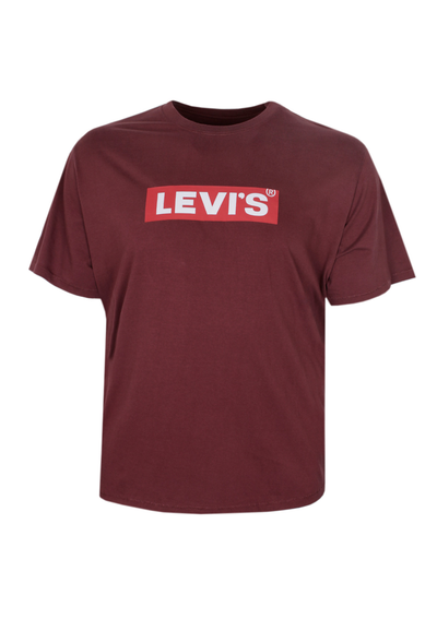 LEVI BIG SS RELAXED T-SHIRT 