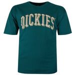 DICKIES BLOCKED LONGVIEW T-SHIRT-tshirts & tank tops-BIGMENSCLOTHING.CO.NZ