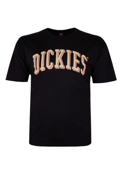 DICKIES BLOCKED LONGVIEW T-SHIRT