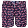 GAZMAN CRAB BATHER SHORT-swimwear-BIGMENSCLOTHING.CO.NZ