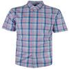 GAZMAN MULTI CLUBHOUSE S/S SHIRT-sale clearance-BIGMENSCLOTHING.CO.NZ