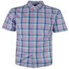 GAZMAN MULTI CLUBHOUSE S/S SHIRT-shirts casual & business-BIGMENSCLOTHING.CO.NZ