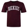 DICKIES 24 BLOCKED LONGVIEW T-SHIRT-tshirts & tank tops-BIGMENSCLOTHING.CO.NZ