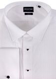 DANIEL HECHTER 5WT FORMAL L/S SHIRT-new arrivals-BIGMENSCLOTHING.CO.NZ