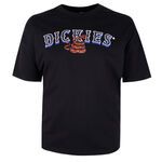 DICKIES TEX SNAKE RELAXED T-SHIRT -new arrivals-BIGMENSCLOTHING.CO.NZ