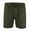 OLIVE COLOUR 2