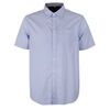 PERRONE BLUE GINGHAM S/S SHIRT-new arrivals-BIGMENSCLOTHING.CO.NZ