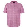 GAZMAN THIN STRIPE S/S SHIRT-new arrivals-BIGMENSCLOTHING.CO.NZ