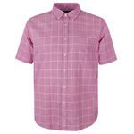 GAZMAN THIN STRIPE S/S SHIRT-new arrivals-BIGMENSCLOTHING.CO.NZ
