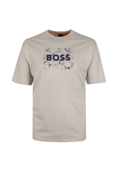 HUGO BOSS GRAPH-WEB T-SHIRT