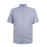 KAM 386 STRIPE S/S SHIRT-new arrivals-BIGMENSCLOTHING.CO.NZ